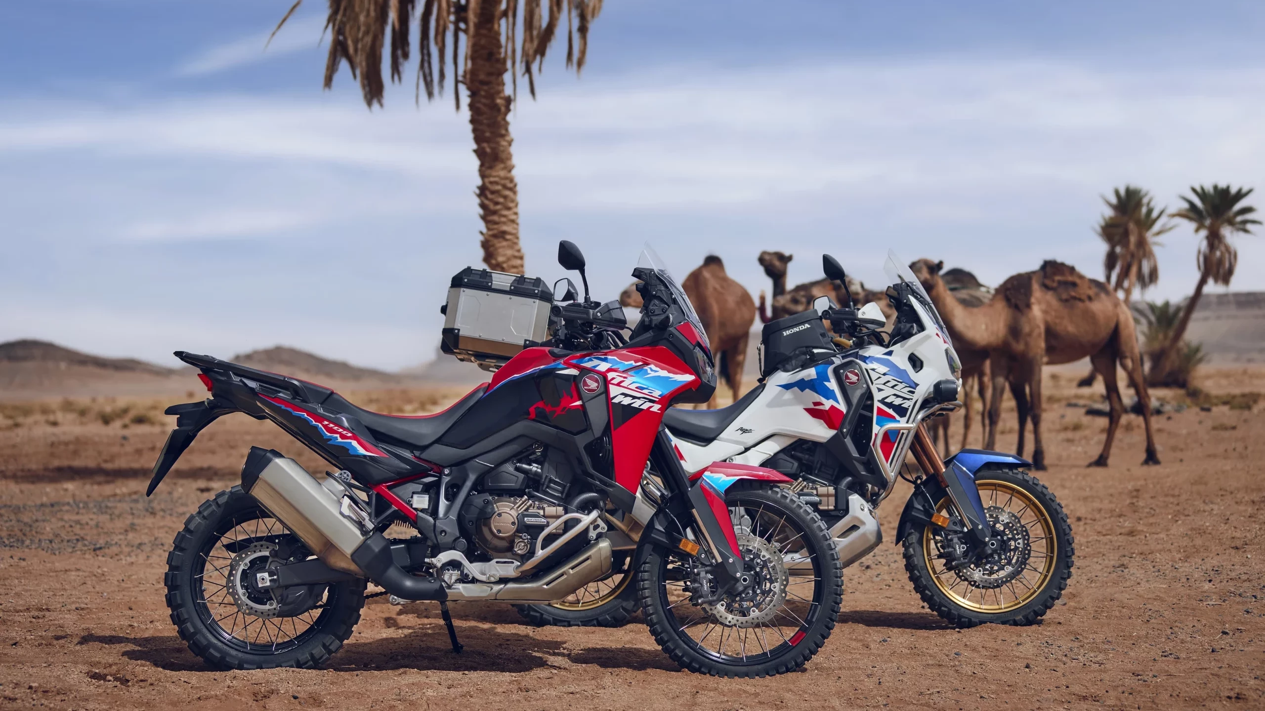 honda_motos_banner_2
