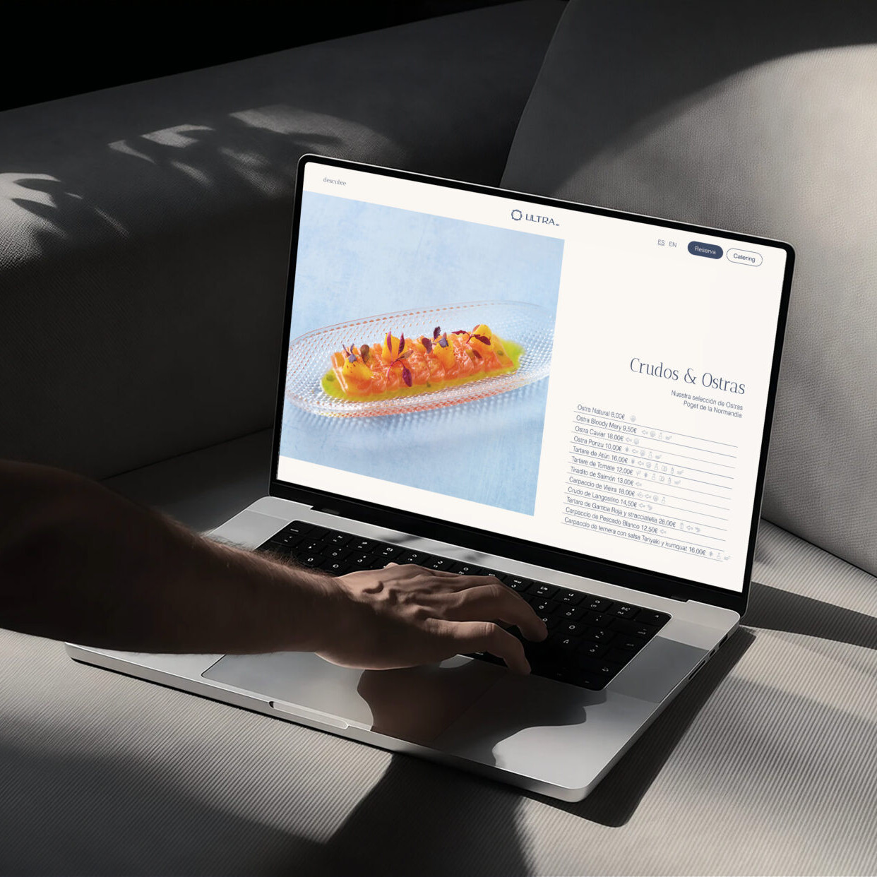 Proyecto web - agencia diseño web